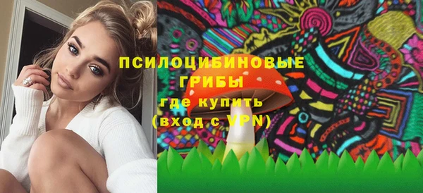 герыч Няндома